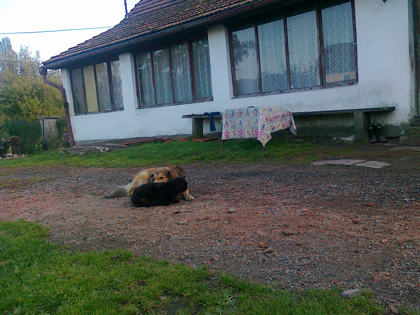 Baryk s kočkou_05
